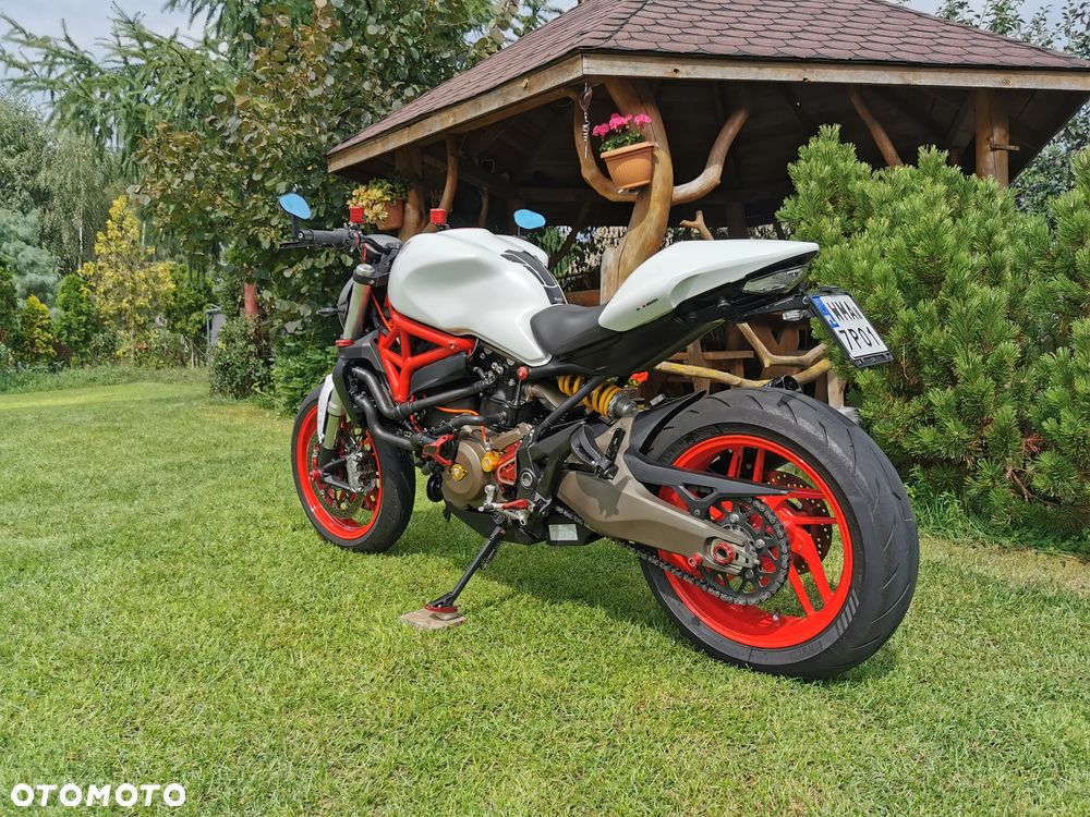 Ducati Monster - 7