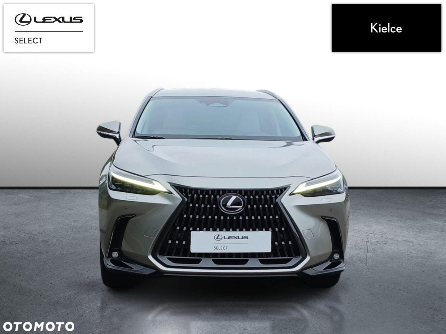Lexus NX 350h Prestige AWD - 8