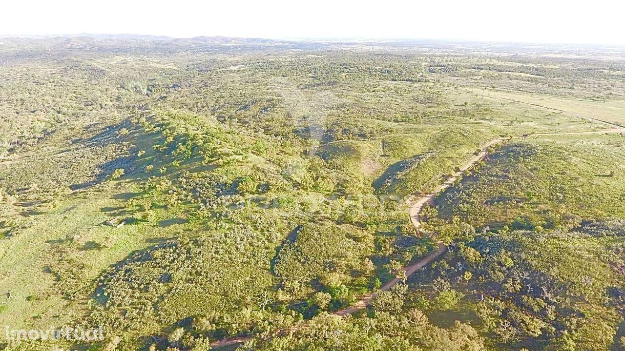 Grandola / Terreno Rustico com 8.5 hectares - Grande imagem: 5/19