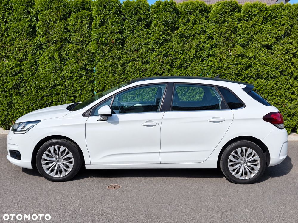 Citroën C4 BlueHDi 120 Stop&Start Shine - 2