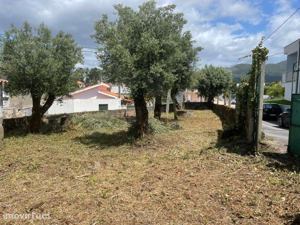 Moradia em pedra com pré-projeto para restauro em Ponte de Lima - Grande imagem: 4/21