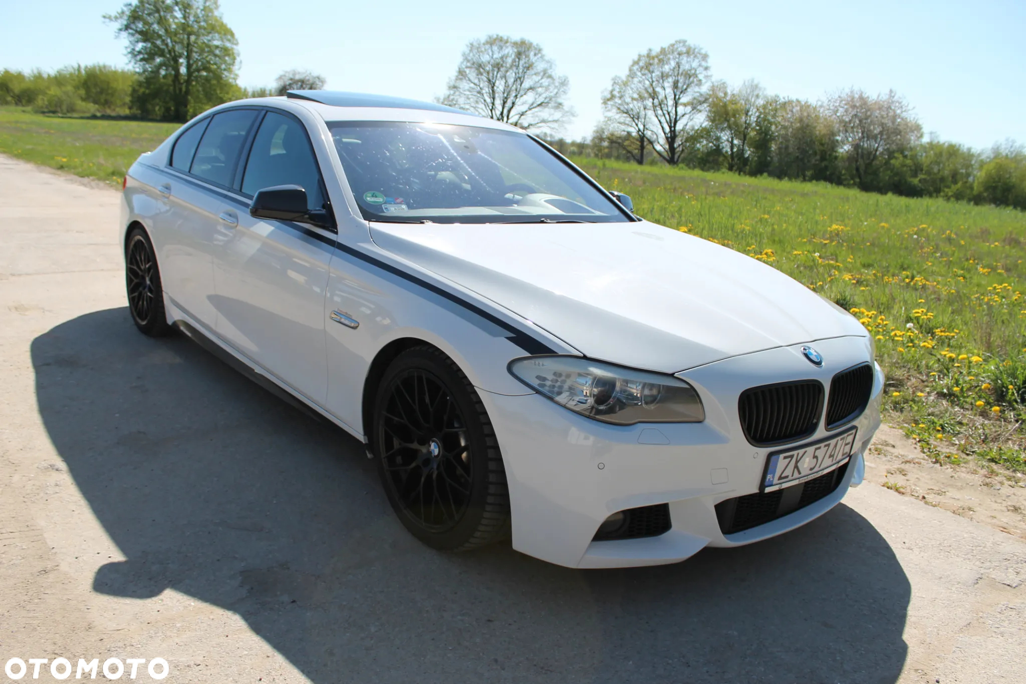 BMW Seria 5 530d xDrive - 11