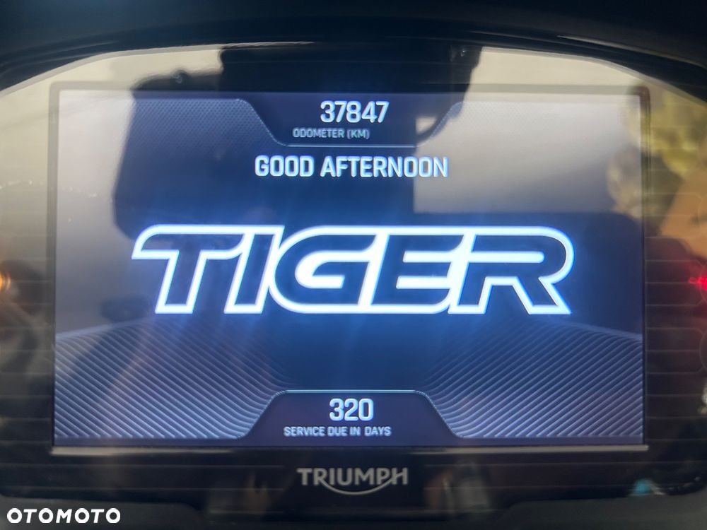 Triumph Tiger - 2