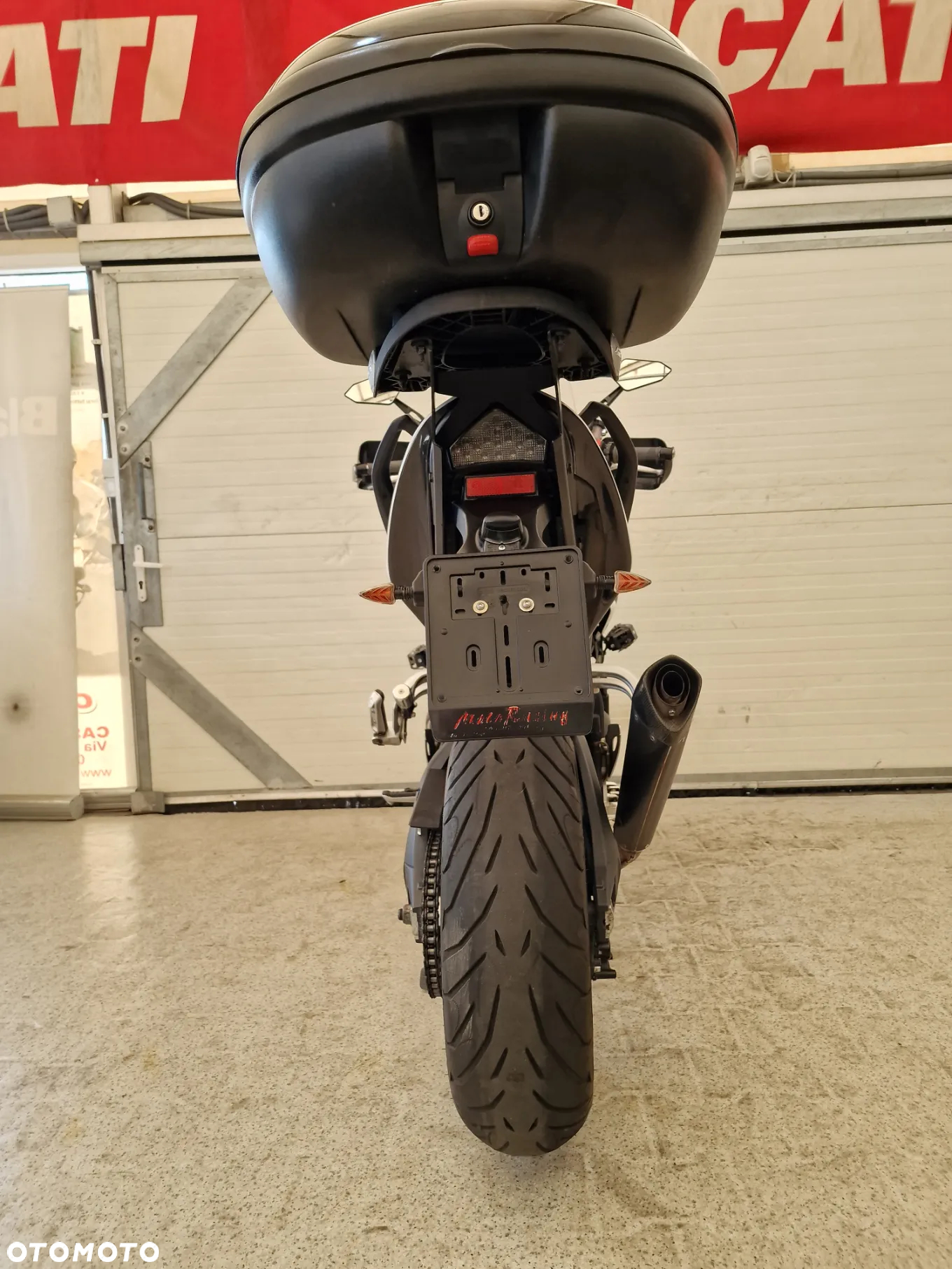 Triumph Tiger - 24
