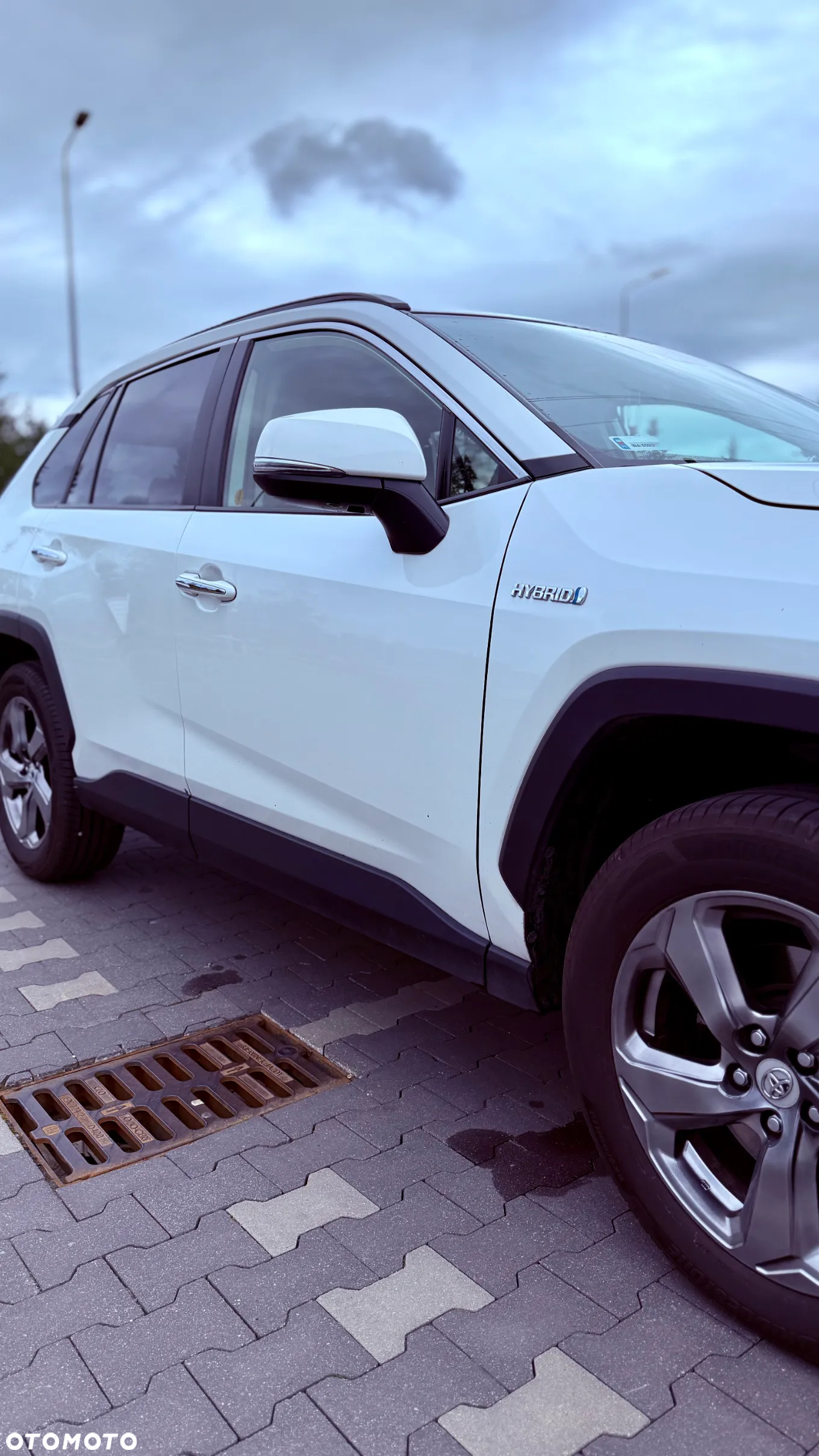 Toyota RAV4 2.5 Hybrid Executive 4x2 - 10