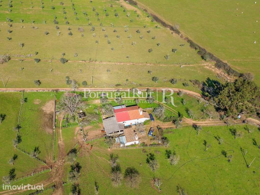 Quinta de 9 hectares em Marvão - Grande imagem: 5/60