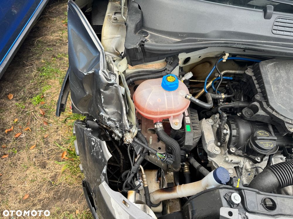 Fiat Panda 1.0 Hybrid Cross - 21