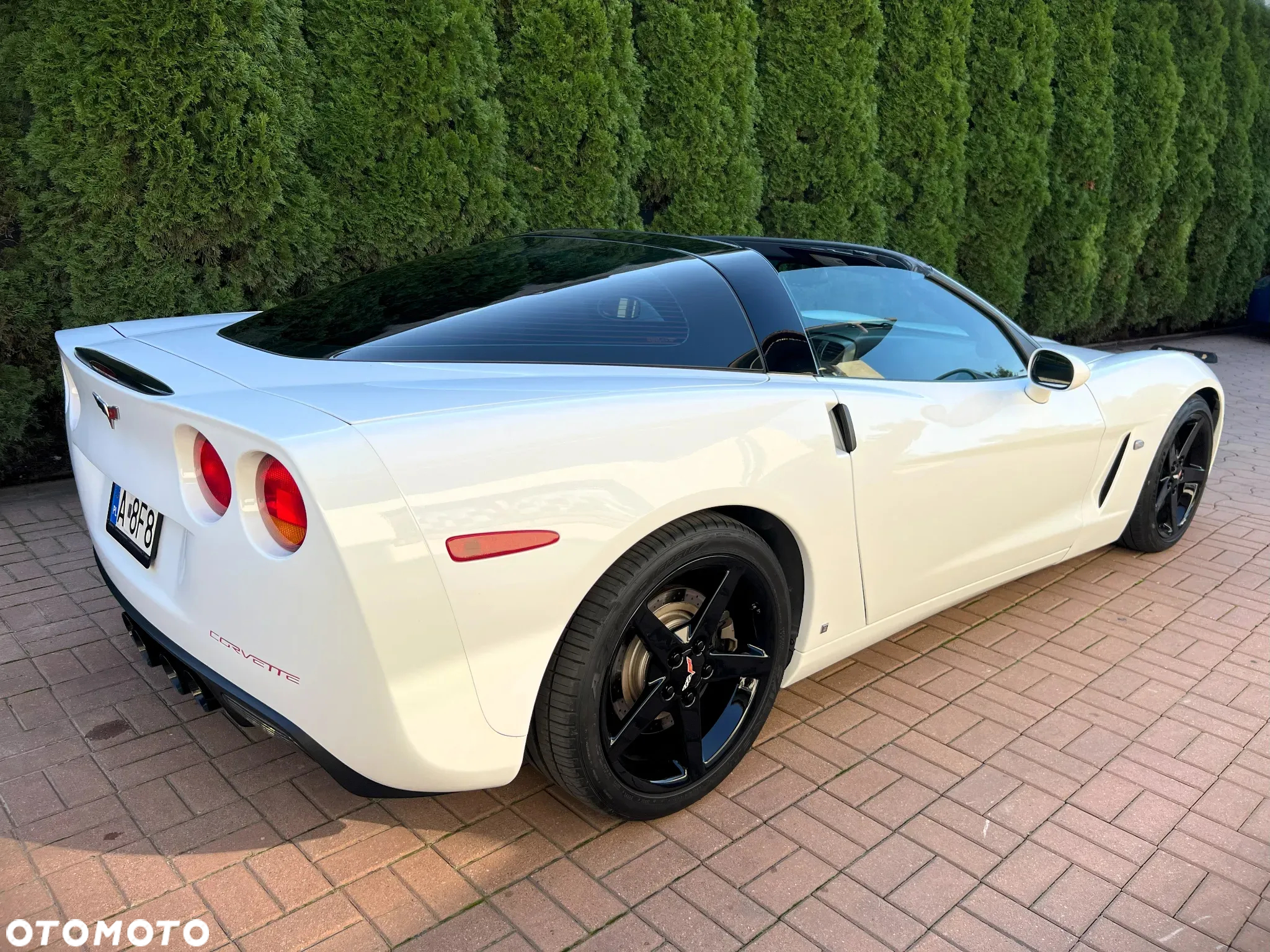 Chevrolet Corvette 6.0 V8 - 31