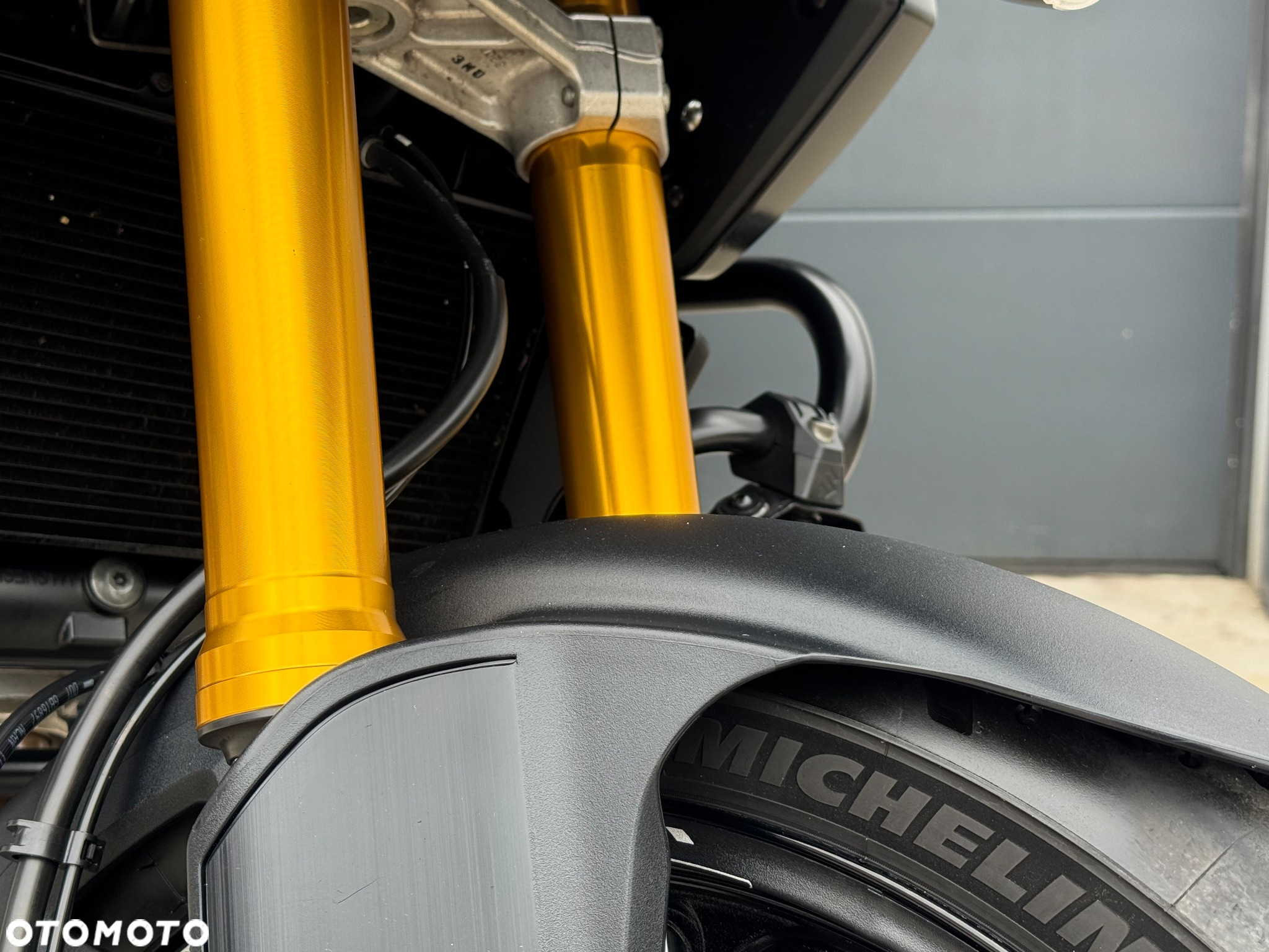 Suzuki V-STROM - 19