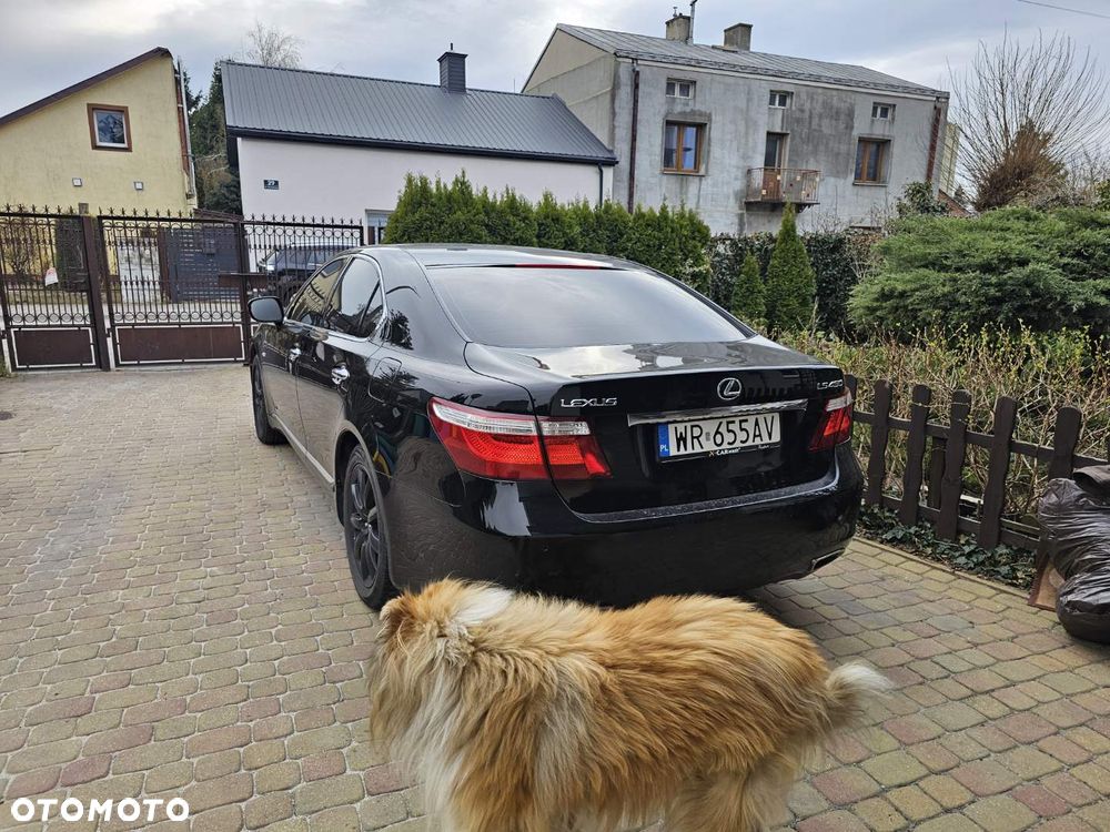 Lexus LS 460 - 17