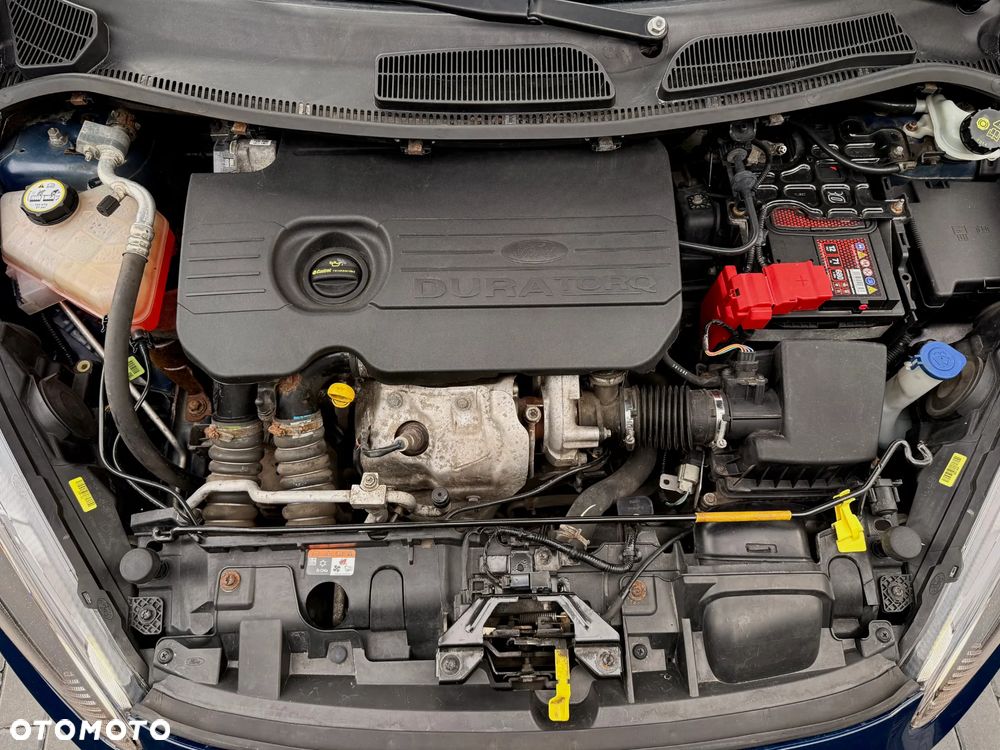 Ford Fiesta - 21