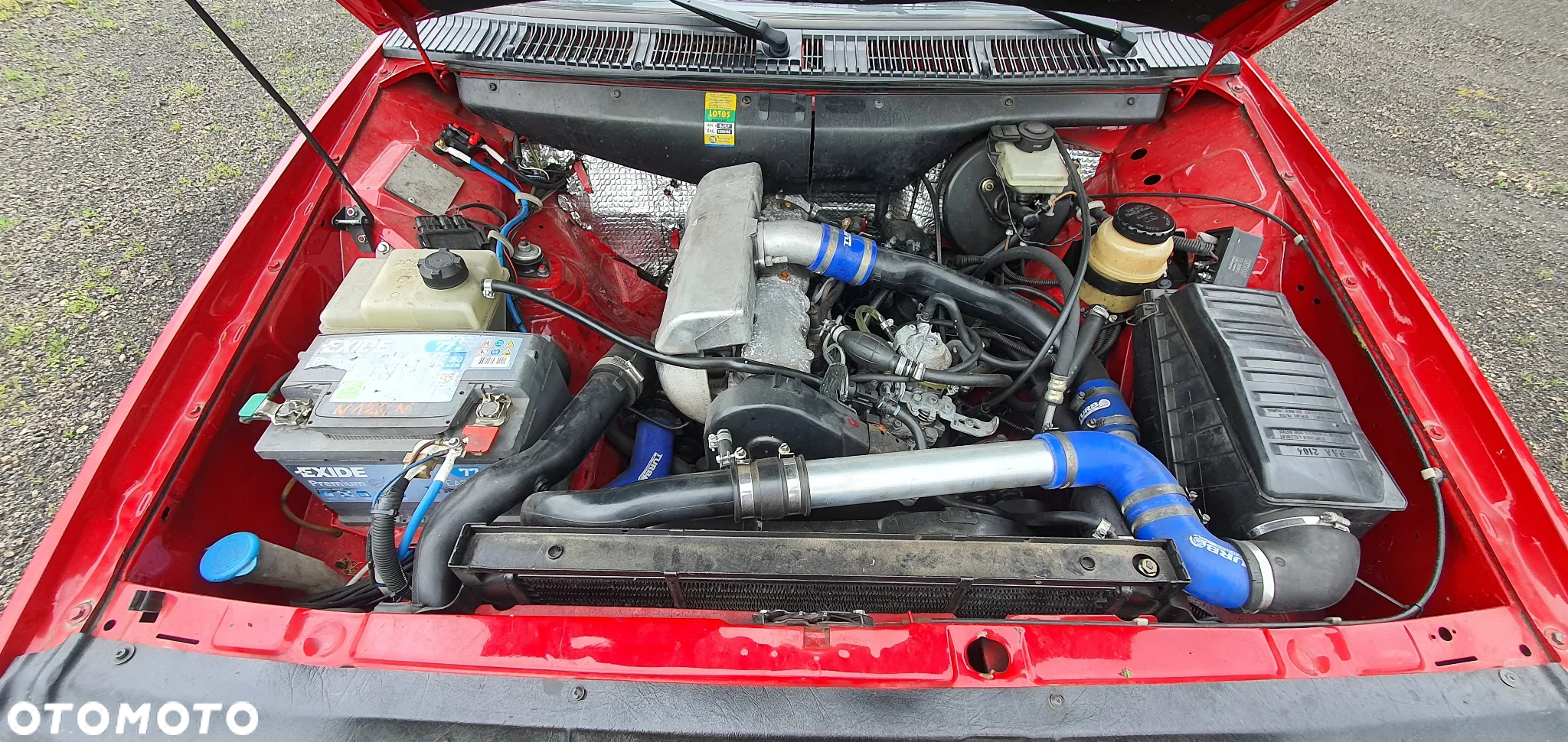 Polonez Caro - 15
