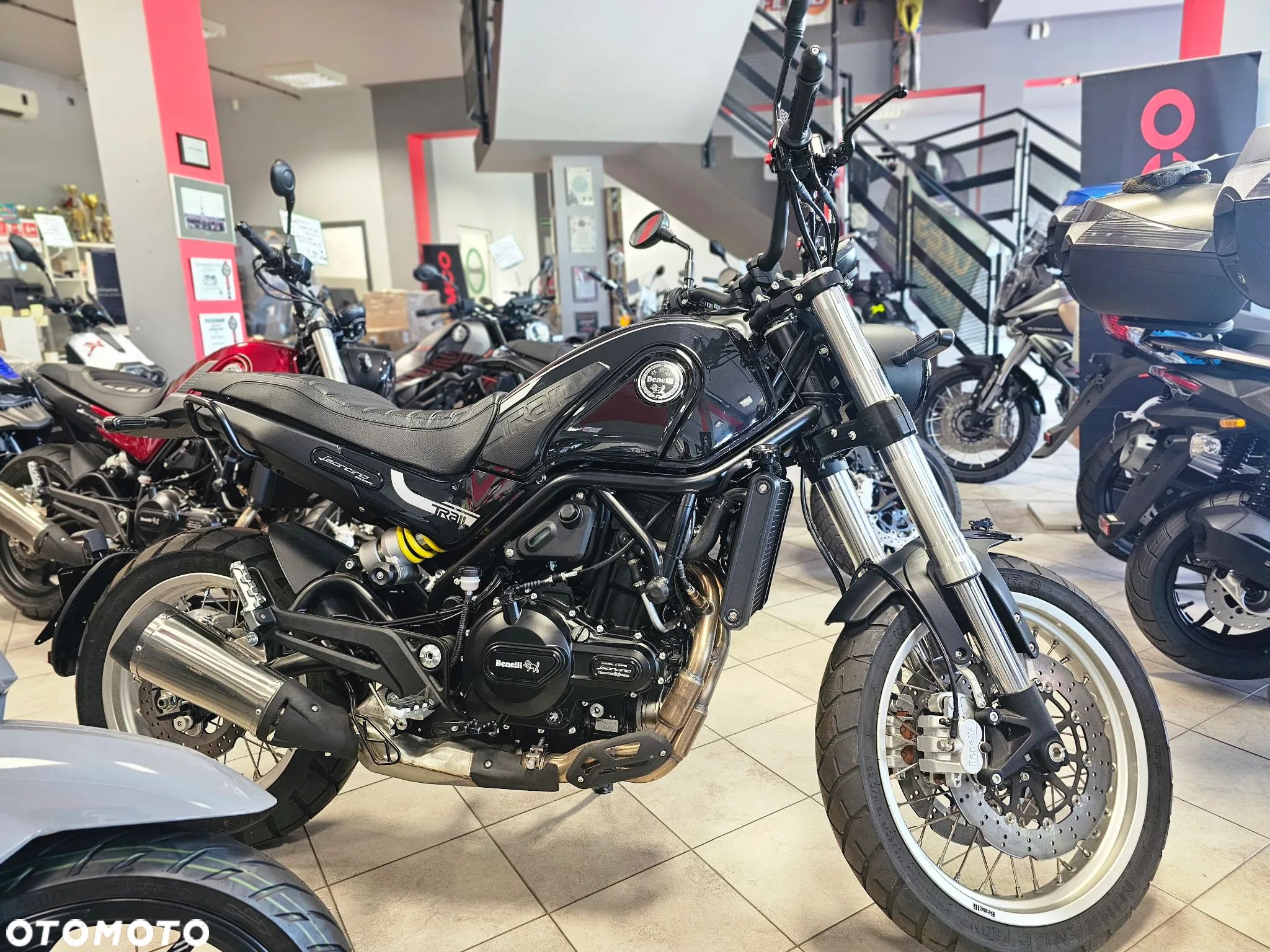 Benelli Leoncino Trail - 1