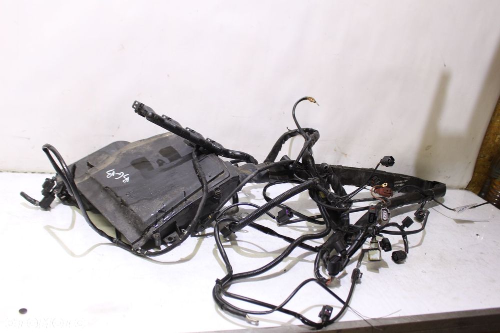 WIĄZKA ELEKTRYCZNA SILNIKA AUDI A4 B7 - 1