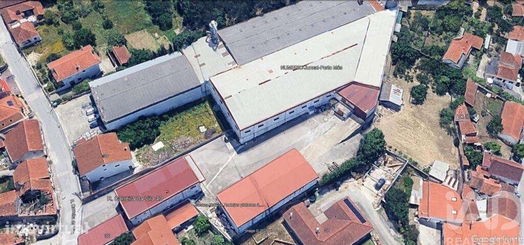 Loja / Estabelecimento Comercial em Juncal de 2024,00 m2 - Grande imagem: 4/4