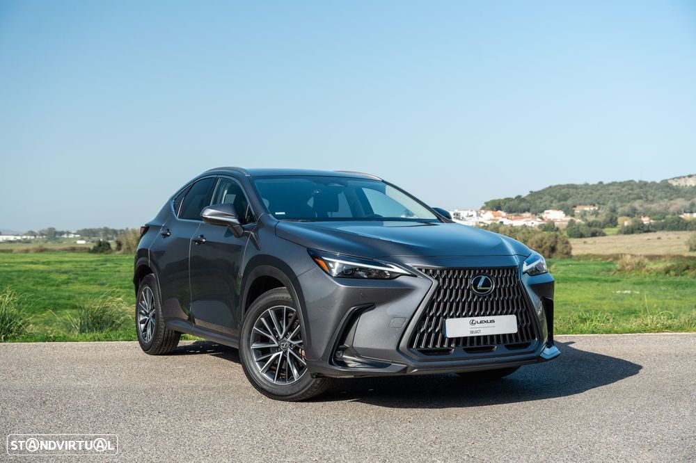 Lexus NX 350h Executive Plus - 4