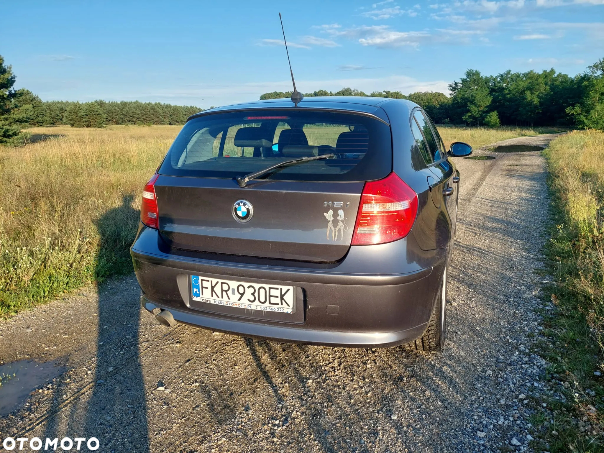 BMW Seria 1 116i - 6