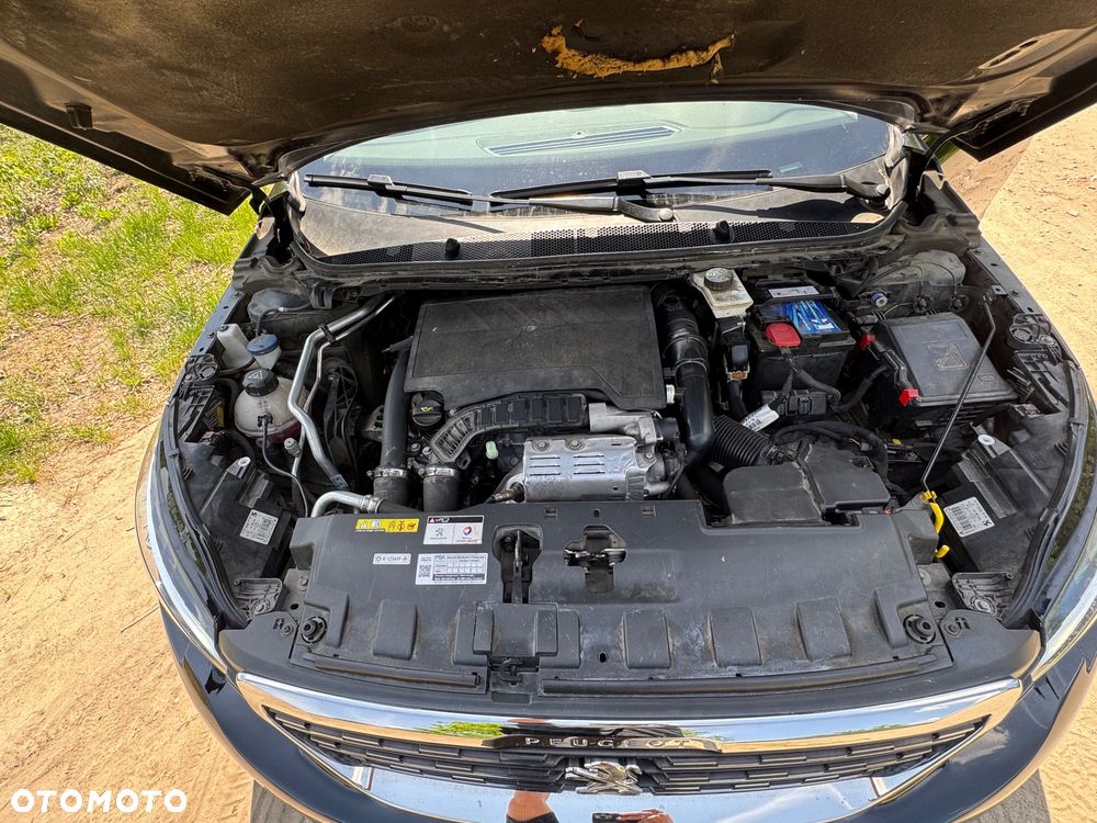 Peugeot 308 - 17
