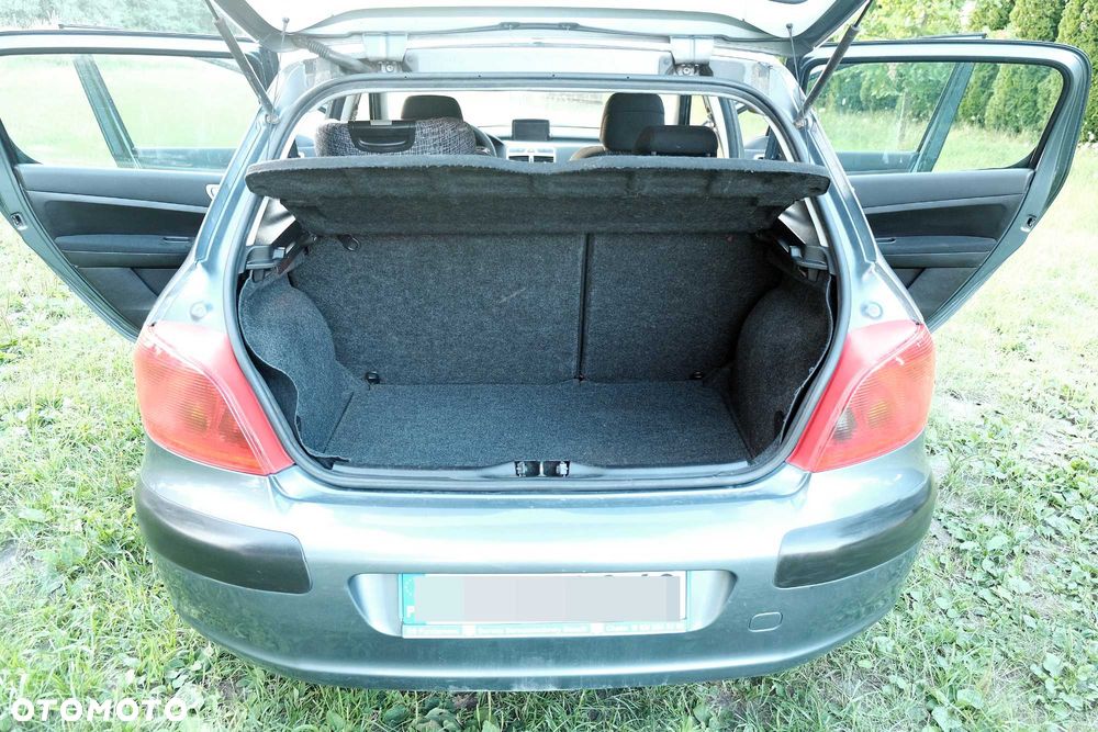 Peugeot 307 - 7