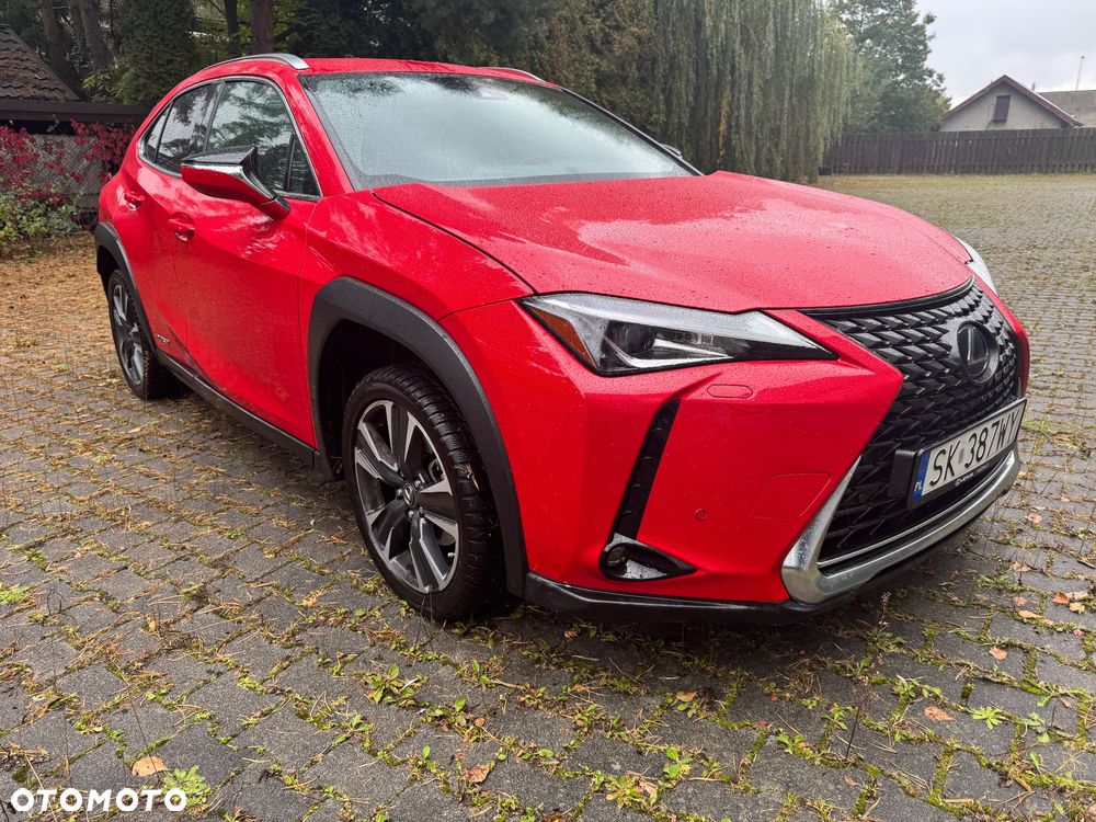 Lexus UX 250h GPF Business Edition 2WD - 8