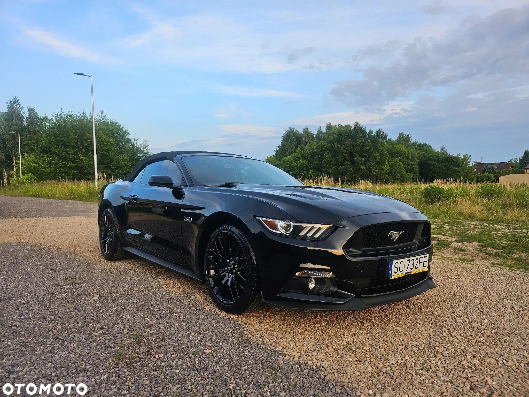 Ford Mustang - 1