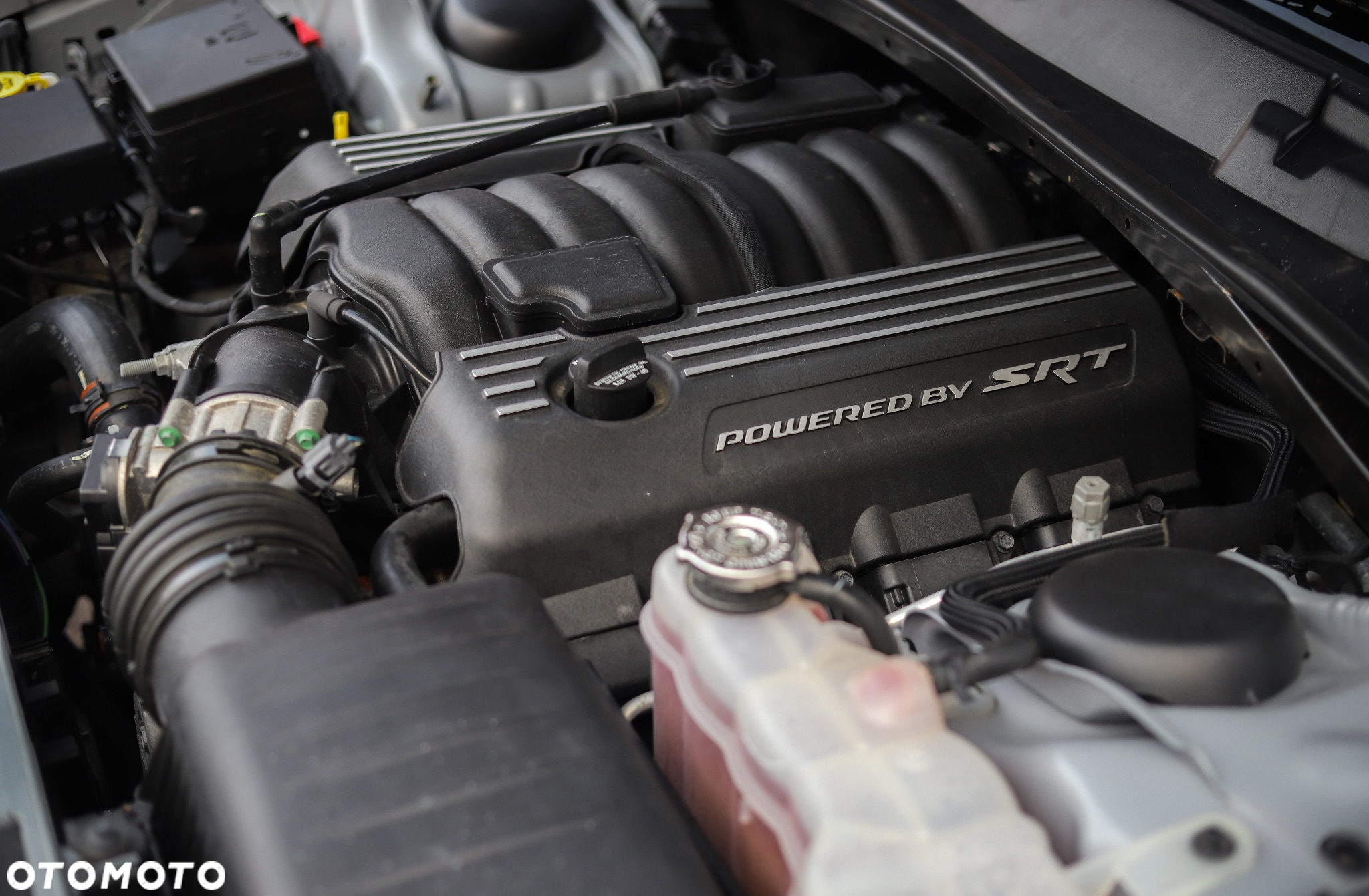 Dodge Challenger 6.4 Scat Pack - 20