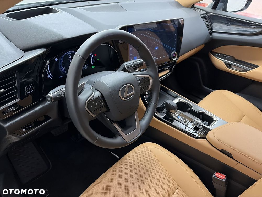 Lexus NX - 10