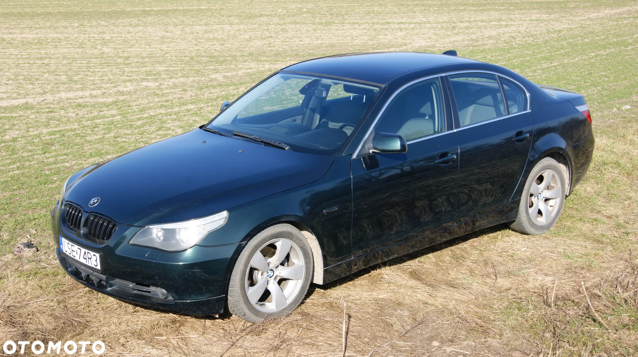 BMW Seria 5 520i - 18