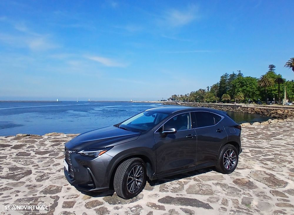 Lexus NX 450h+ - 1