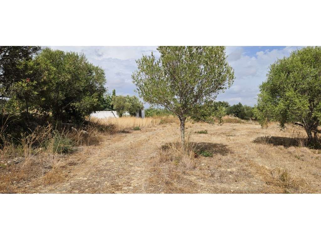 Terreno Misto com armazém com 36 m2 em Moncarapacho, Olhão, Algarve - Grande imagem: 5/18