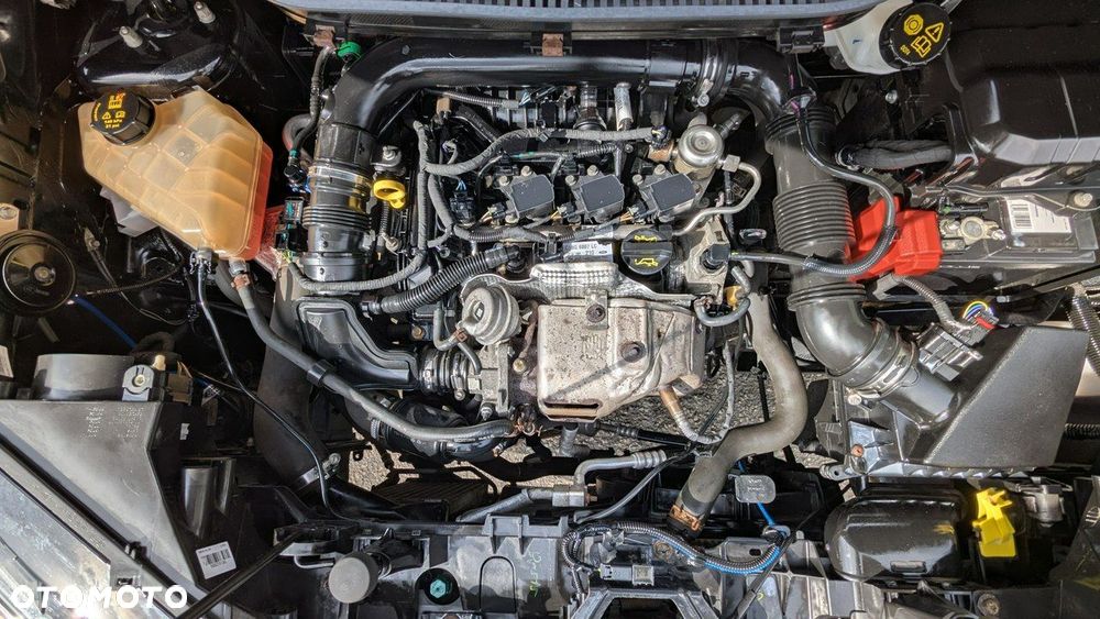 Ford EcoSport - 39