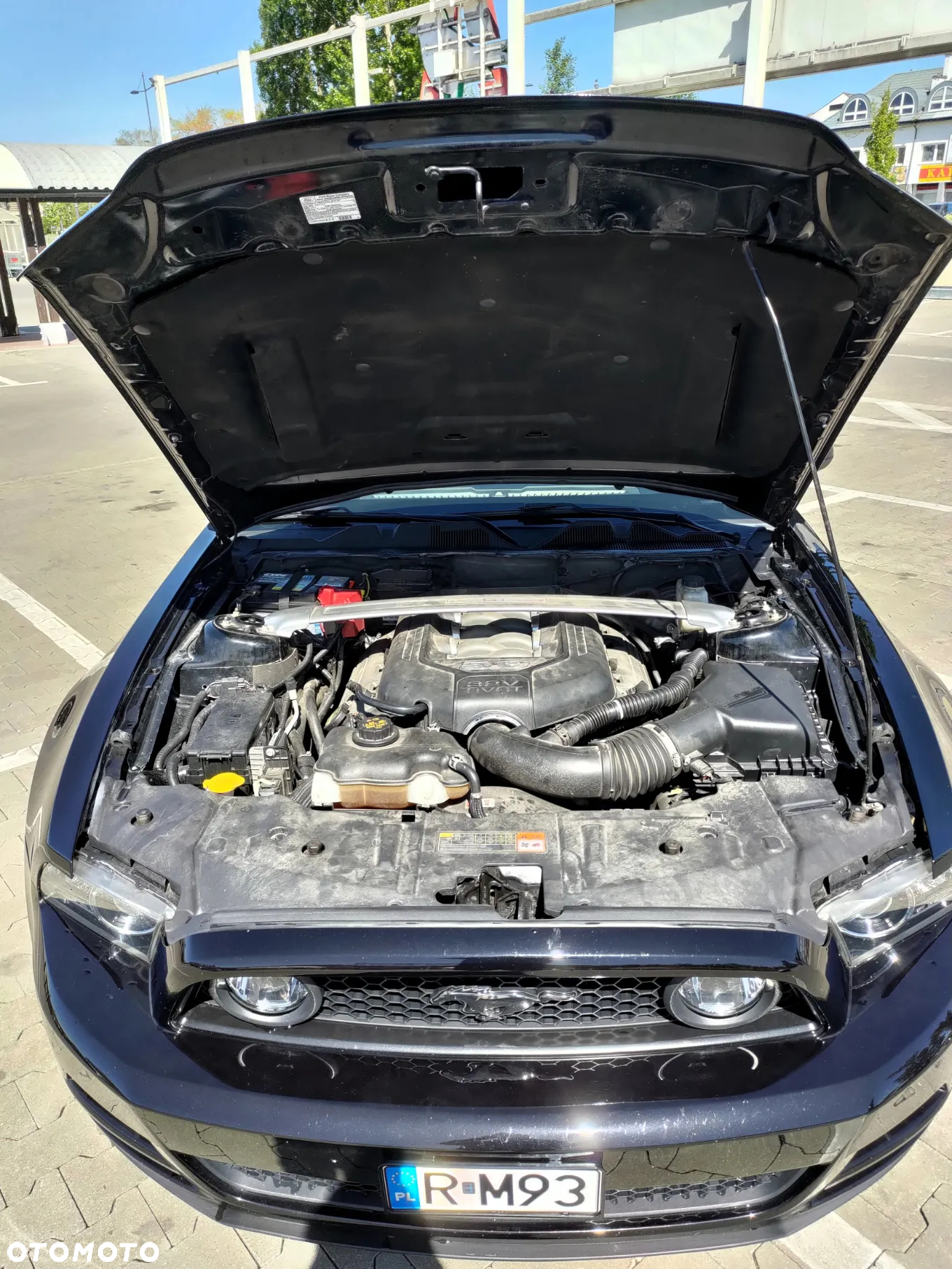Ford Mustang 5.0 Ti-VCT V8 GT - 30