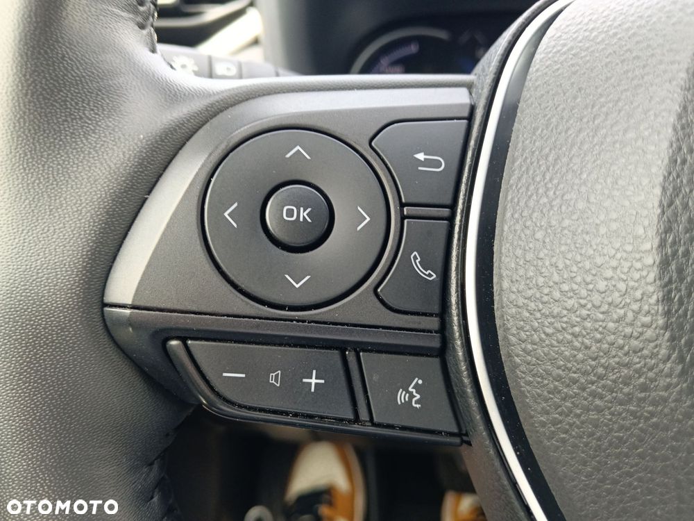 Toyota RAV4 2.5 Hybrid Executive 4x2 - 20