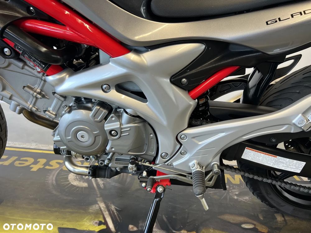 Suzuki Gladius - 14