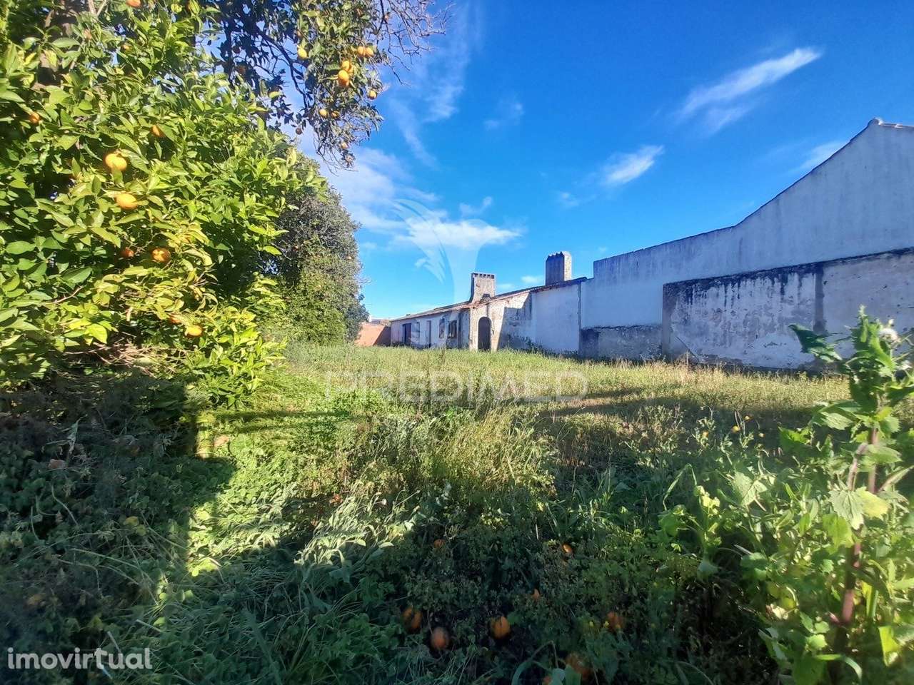 LOTE URBANO - Grande imagem: 5/17