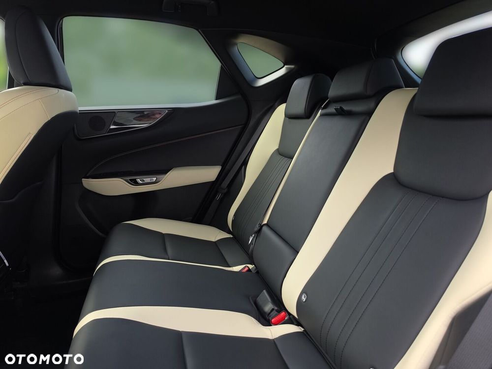 Lexus NX - 21