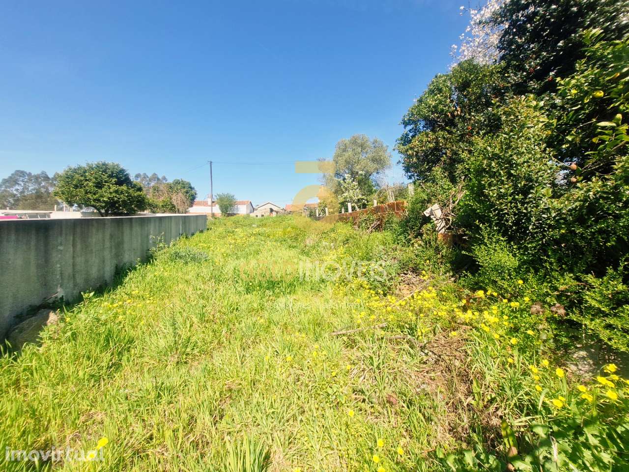 Moradia para Restaurar T2 Venda em Oliveira de Azeméis, Santiago de Ri - Grande imagem: 4/9