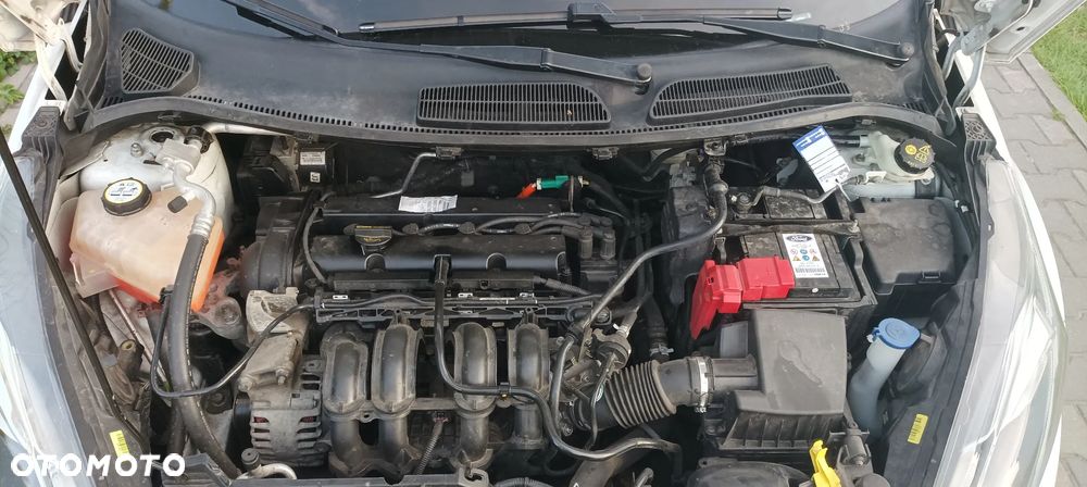 Ford Fiesta 1.25 Champions Edition - 8