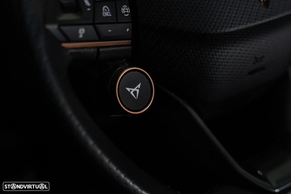 Cupra Formentor 2.0 TDI DSG - 15