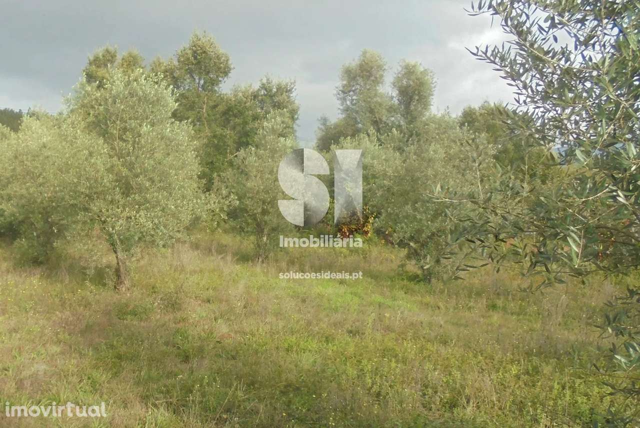 Terreno em Lousã - Grande imagem: 5/7