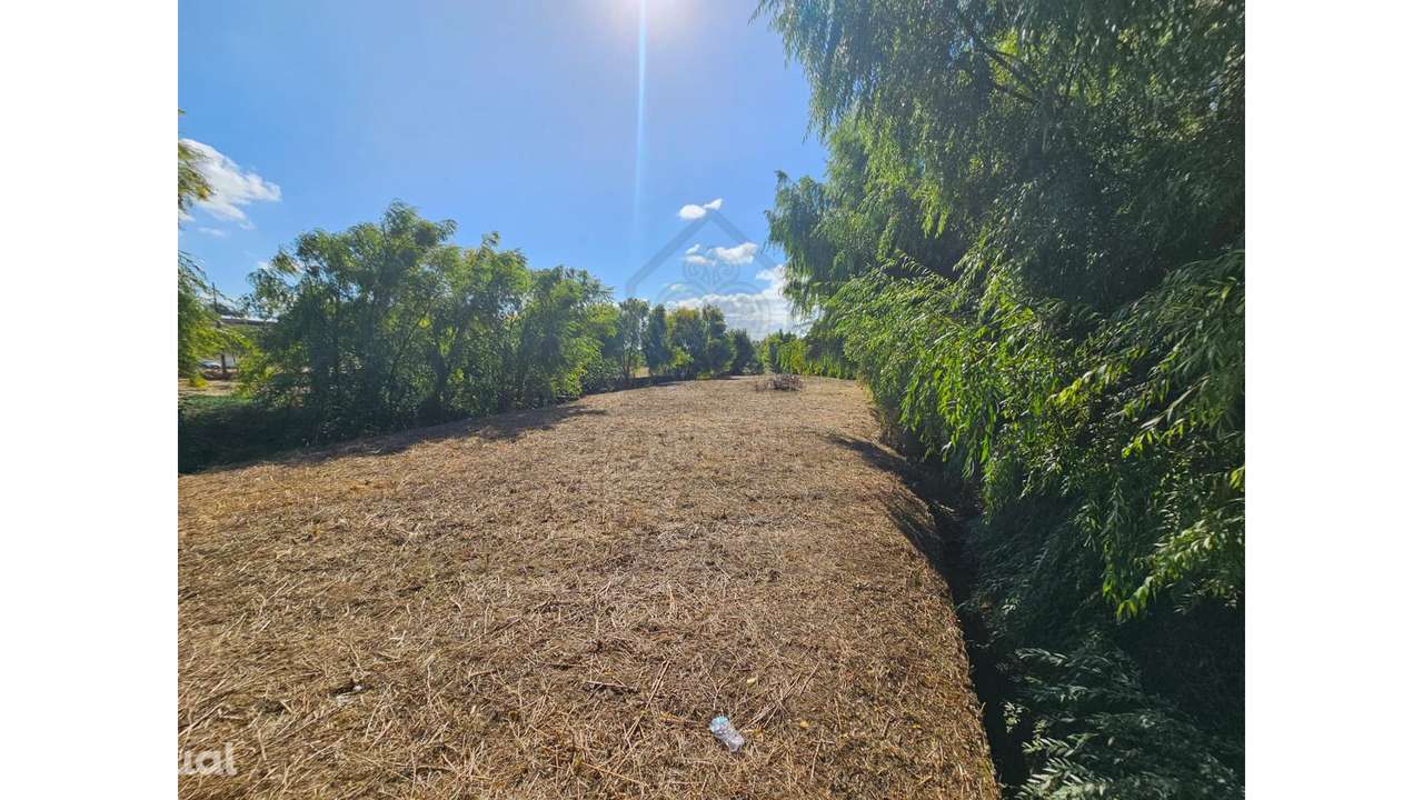 Quinta com rio em Torres Novas - Grande imagem: 3/42