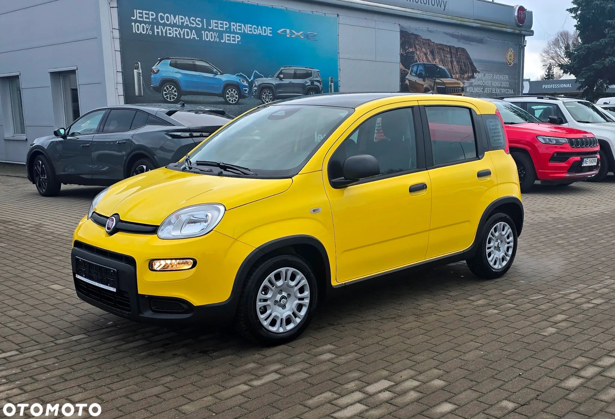 Fiat Panda - 1