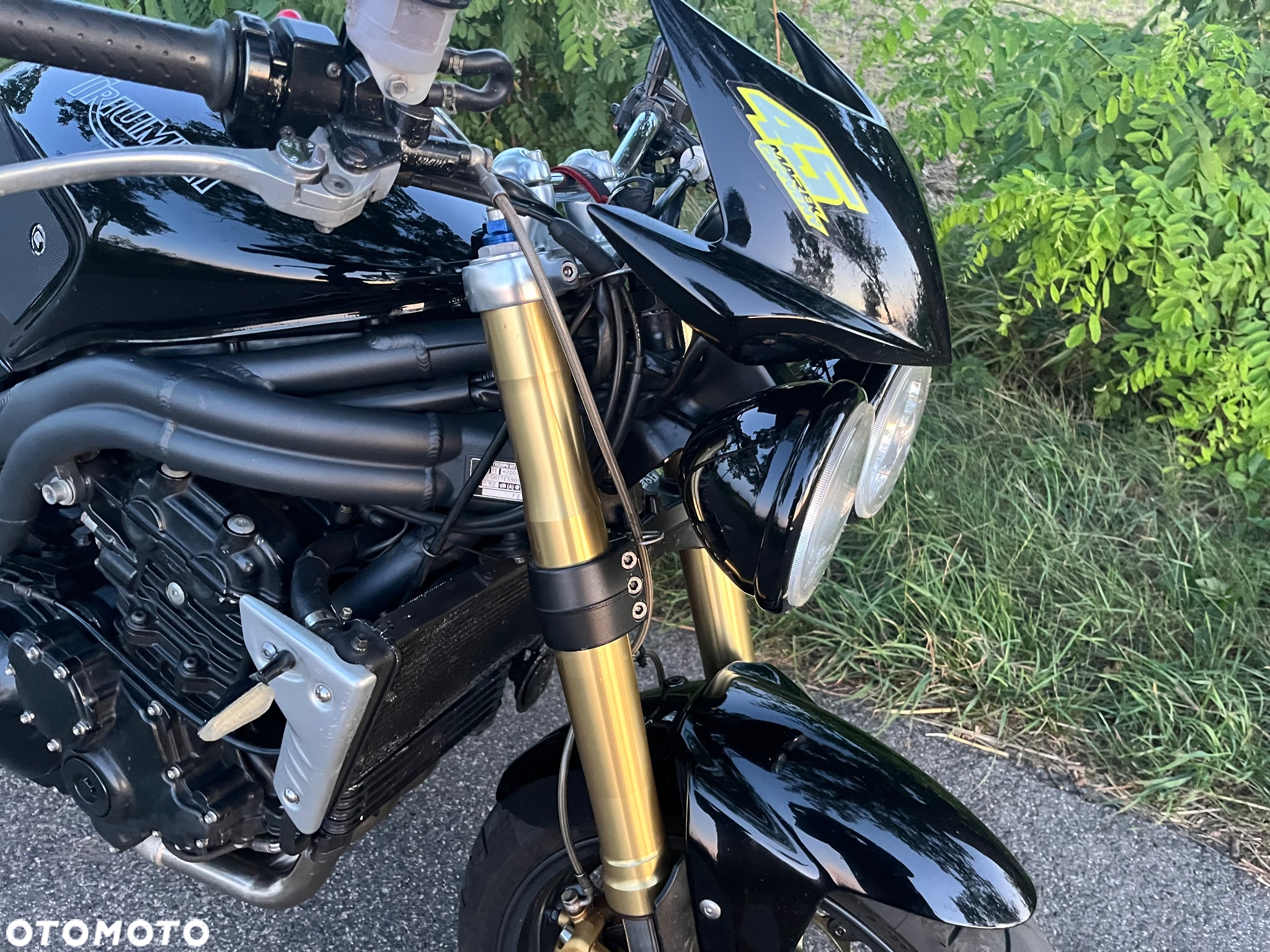 Triumph Speed Triple - 14