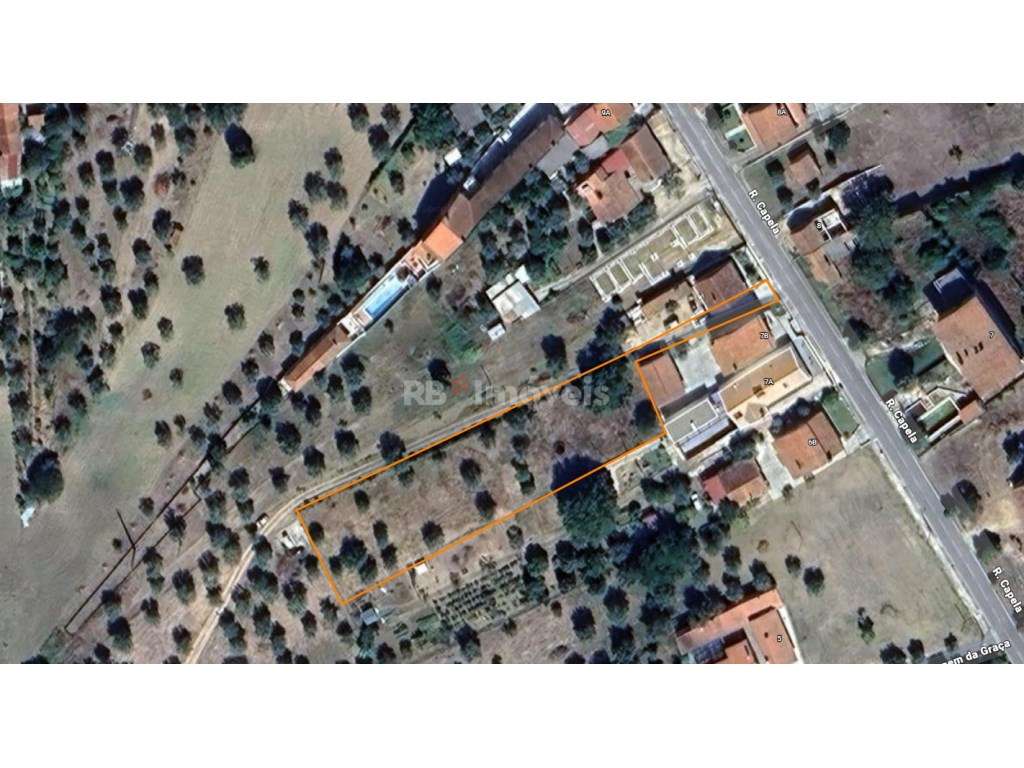 Terreno urbanizável - Carvalheiros, Tomar - Grande imagem: 2/21