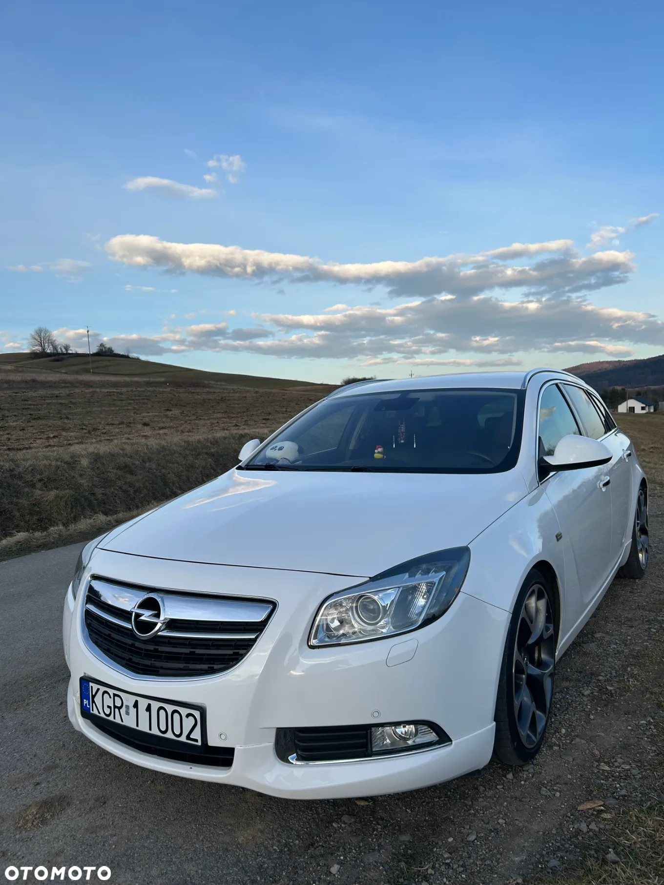 Opel Insignia 2.0 CDTI Sport - 4