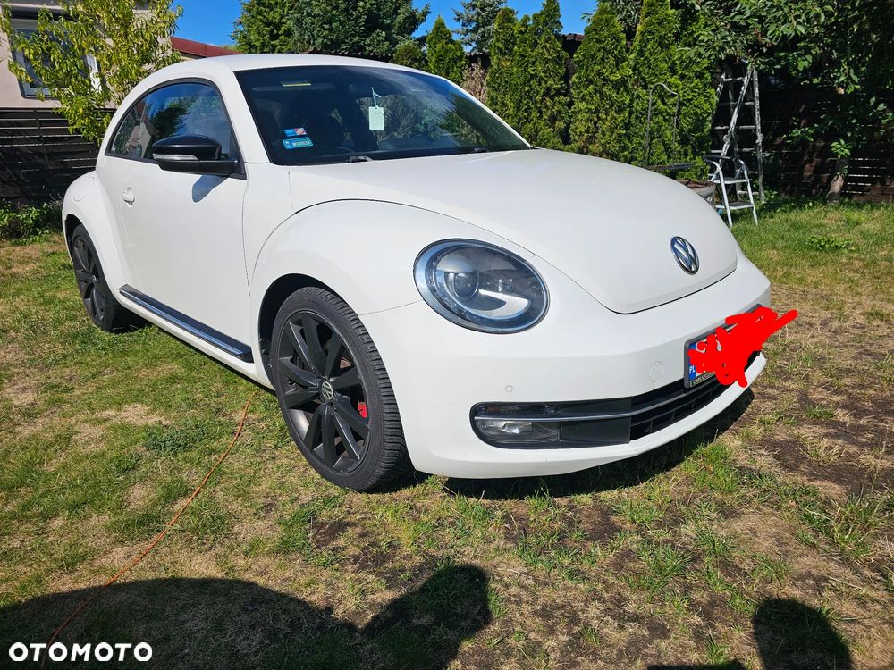 Volkswagen Beetle - 1