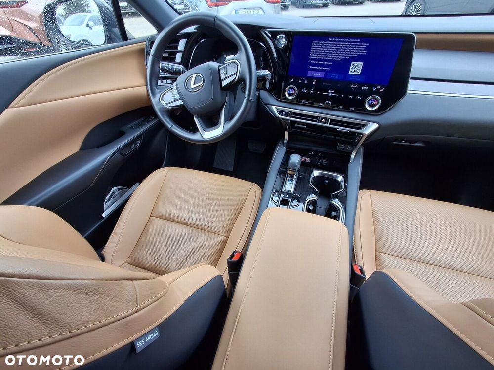 Lexus RX - 14