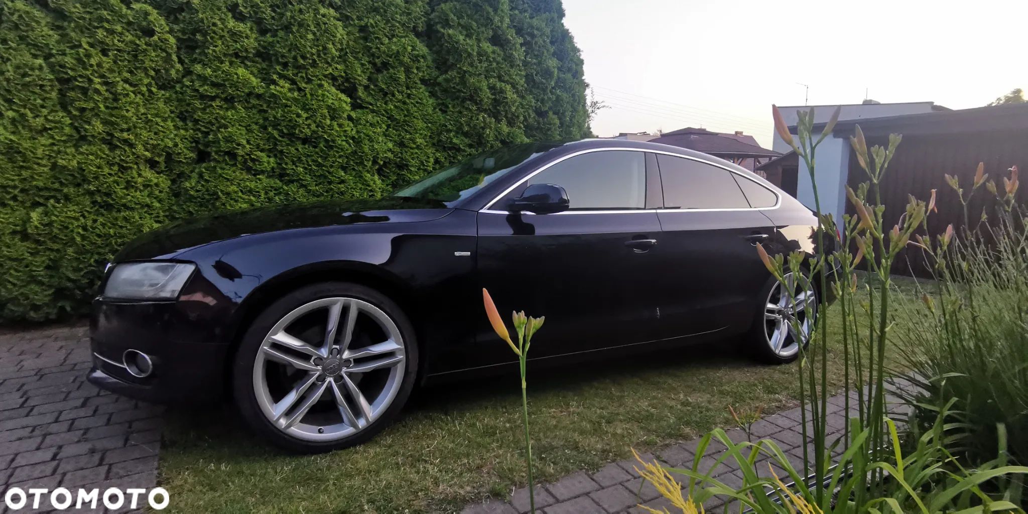 Audi A5 - 1