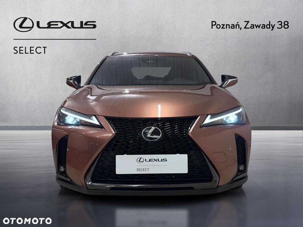 Lexus UX 300h F Sport Design - 6