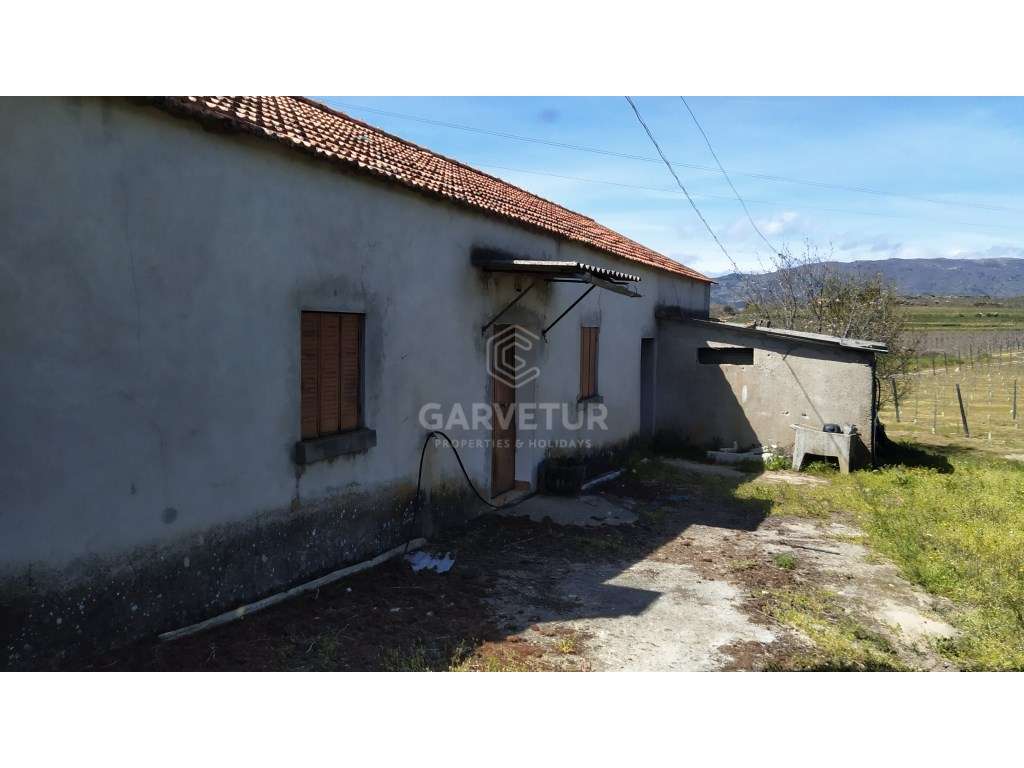 Quinta de 25 hectares - Belmonte - Castelo Branco - Grande imagem: 2/36